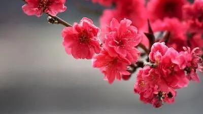 【精华】爱情唯美句子汇总