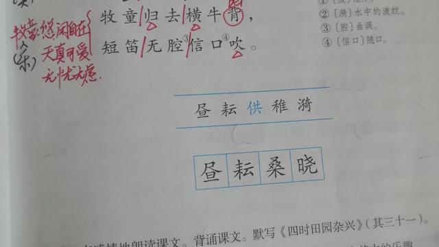村晚改写成作文