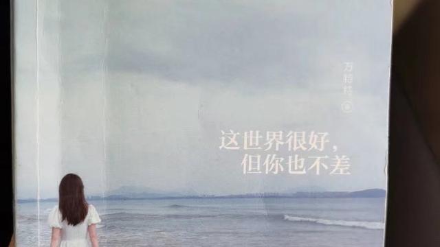 《你只是看起来很努力》读后感精选