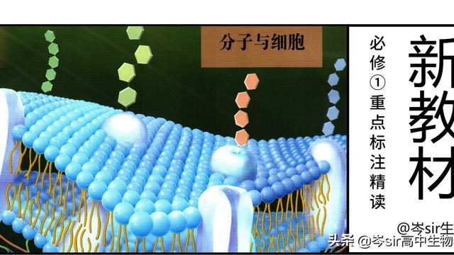 细胞中的无机物10篇