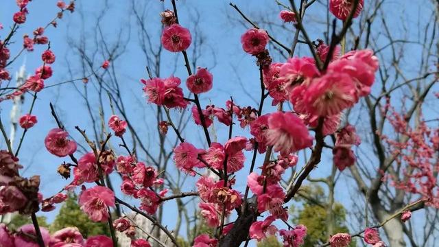 【热门】坚持的作文汇编