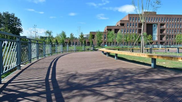 高中毕业证网上可以查询吗