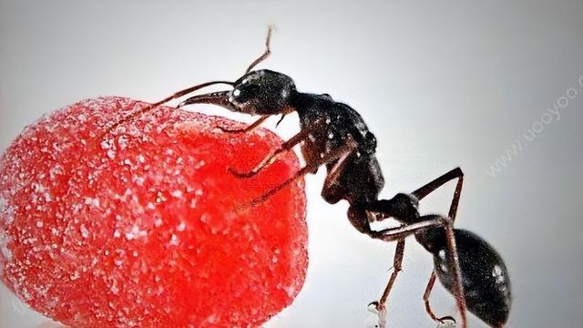 扔出窗外10篇