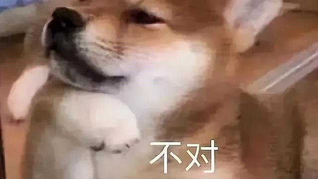 高中毕业证丢了网上能查询到吗