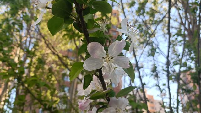 机械学习总结