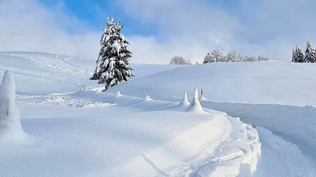 描写冬天美丽雪景的诗句