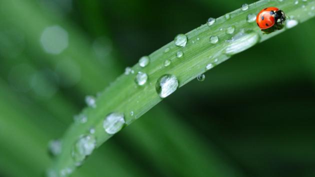 寒露节气几月几日几时几分几秒