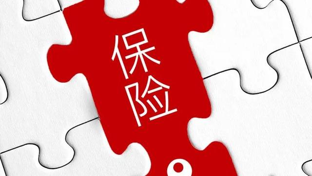 保险公司论文集锦