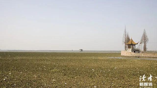温柔的句子干净治愈