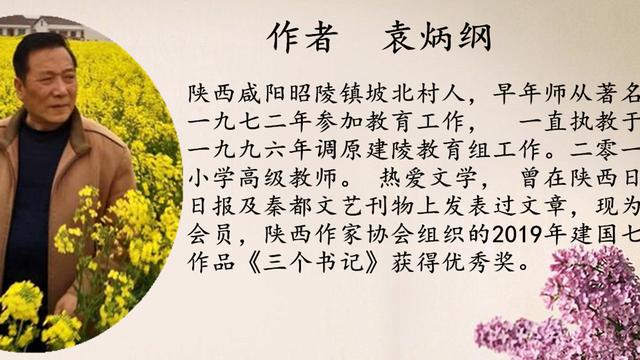 打囤散文