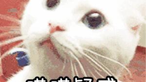 win10怎么添加透明主题色