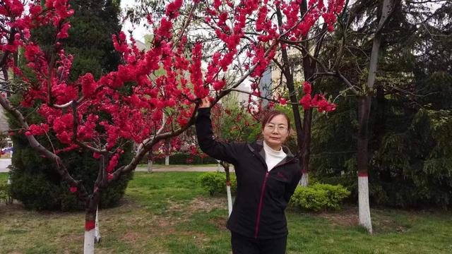 特教老师心得体会范文通用