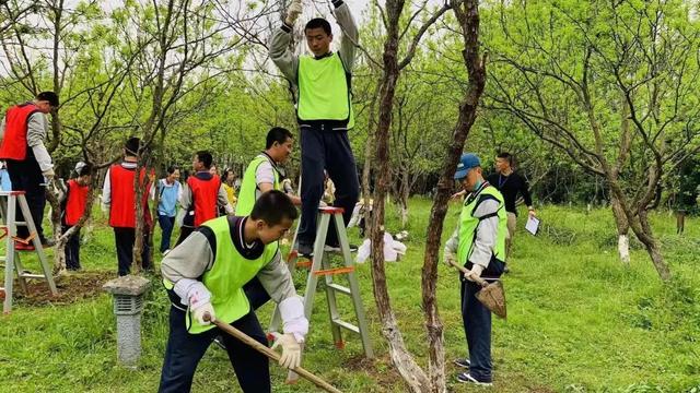 社会实践活动方案设计方案通用