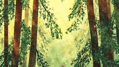 遗忘唯美感言（精选）