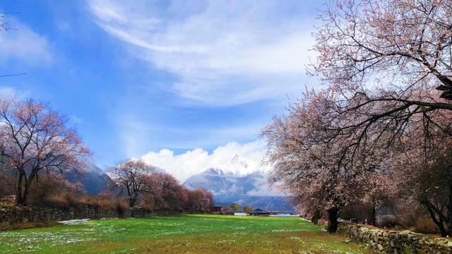 范仲淹岳阳楼记翻译