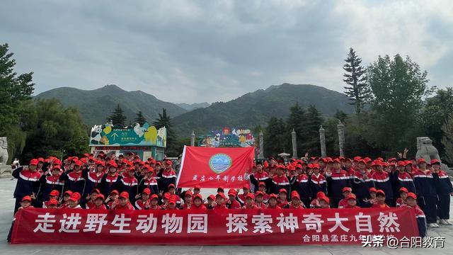 动物园看动物表演作文精选