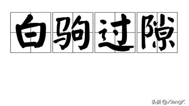 形容做事情很快的成语