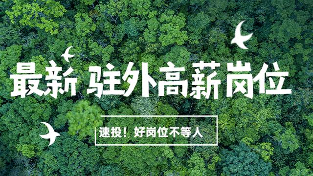 往来会计的工作岗位职责精选