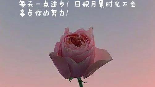 导师鉴定意见精选