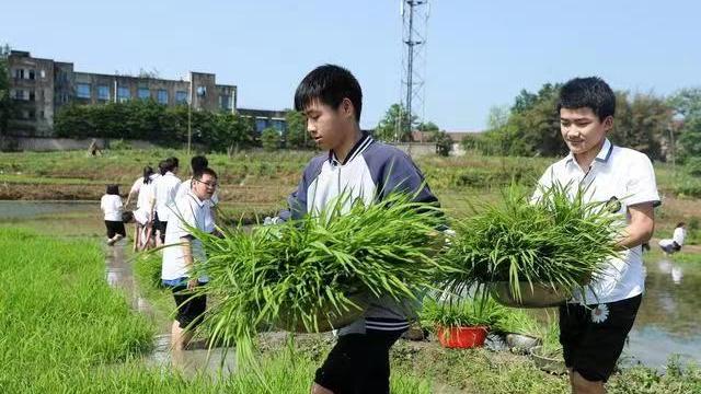 中小学生的建议书