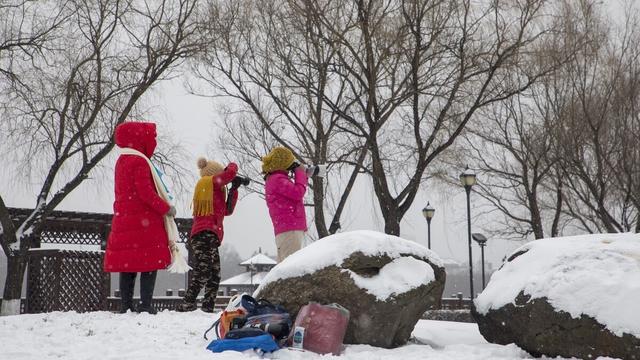 铲雪作文