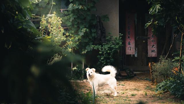 描写春夏秋冬风景的优美句子