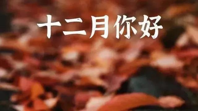十一月你好的发朋友圈句子