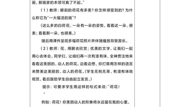 《荷花》优秀教案