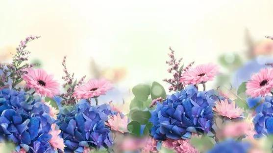 和妈妈睡觉作文