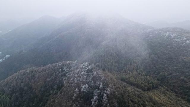 雪花纷飞10篇