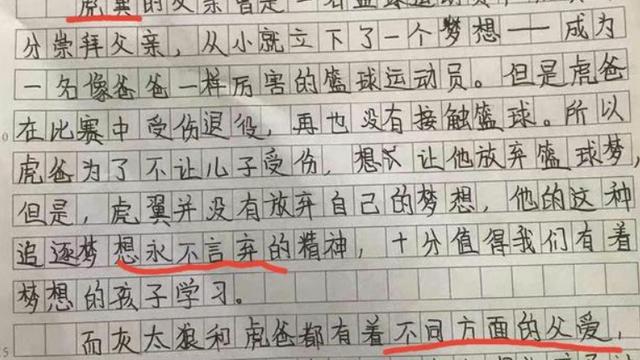 喜羊羊与灰太狼之真假暖羊羊作文