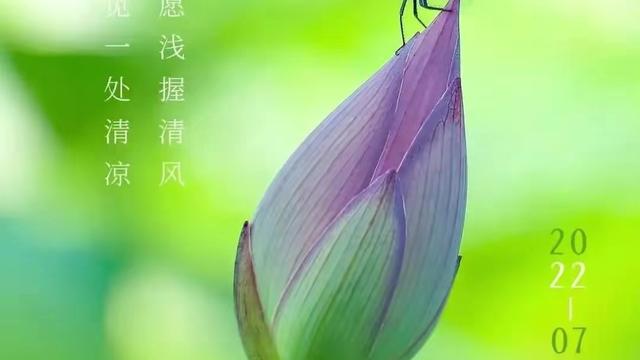 2022年夏天的古诗词
