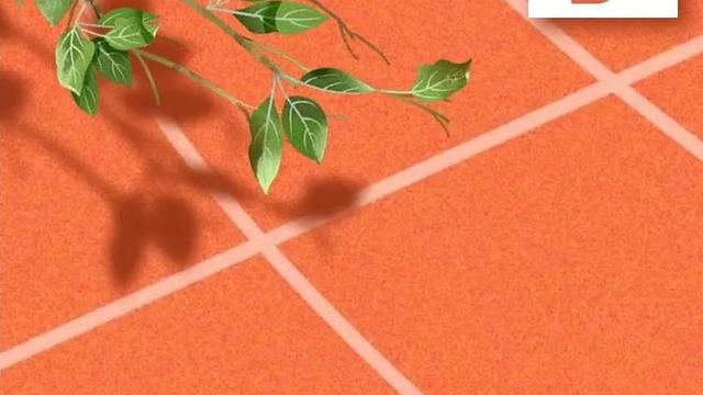 班主任给全班同学寄语