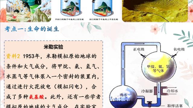 生物进化中的“自然选择学说”