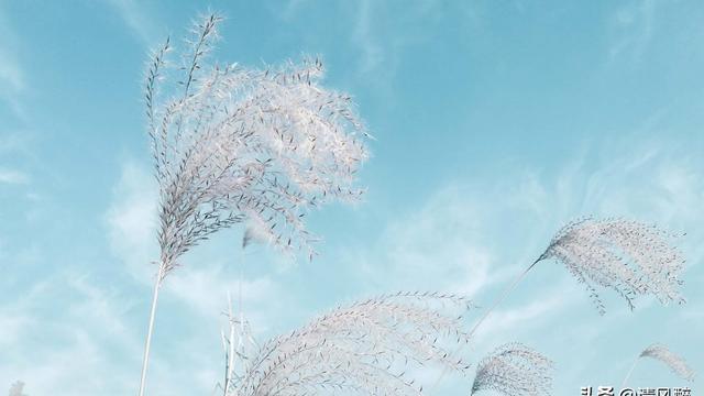 励志长文案