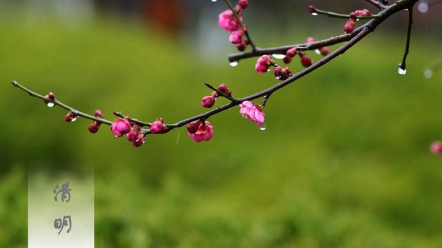 清明节寄语怎么写祭奠先烈