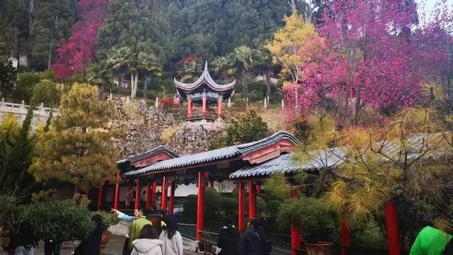 【必备】初中自我介绍合集四篇
