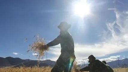大暑古诗大全300首冷门