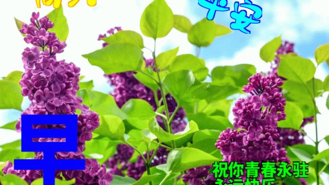 开心的早安短句精选