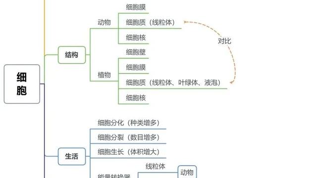 初中生物教育教学工作总结精选