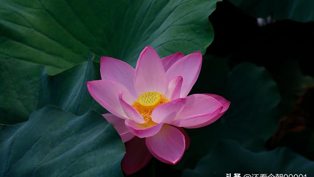 学校档案管理规章制度（精选）