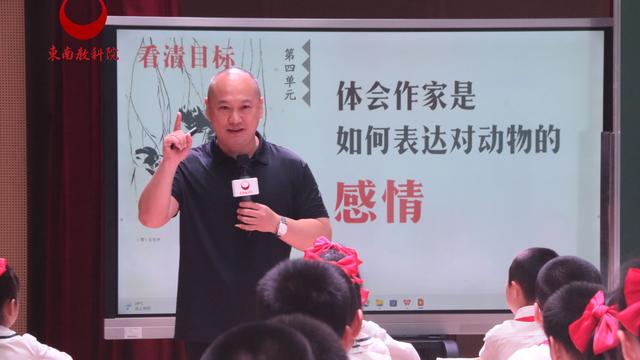 猫教案范文