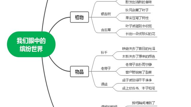 关于观察发现类的作文