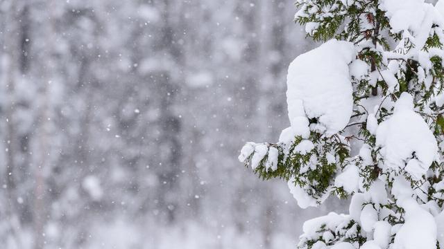 24节气大雪的含义是什么？