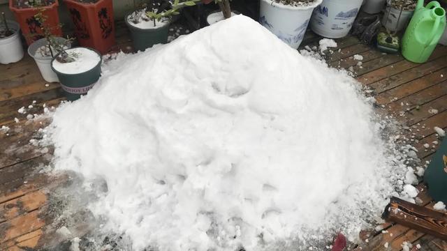 大雪突如其来作文