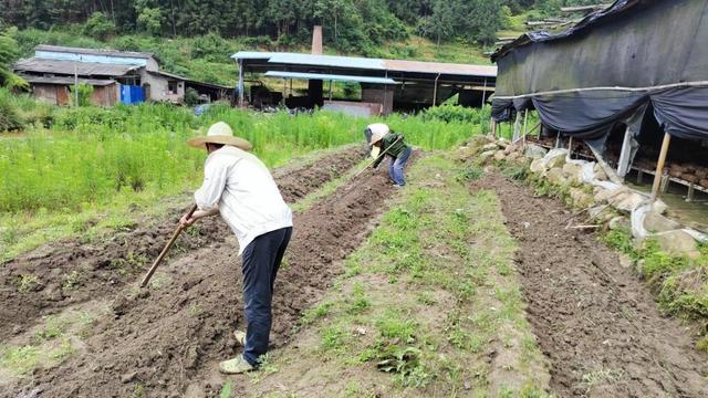 伛偻而行――蹒跚