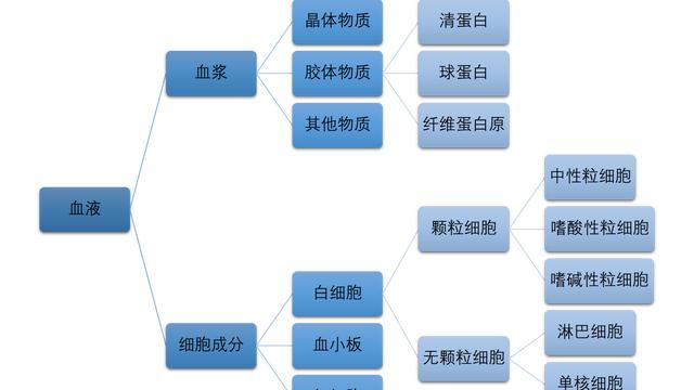 流动的组织血液教学设计通用