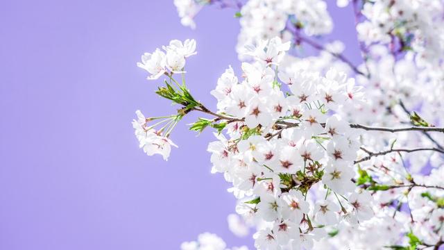 一天天的忙碌说说