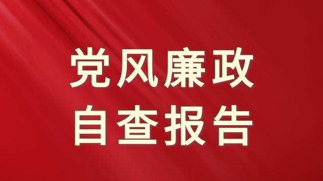 企业自查报告[精选]