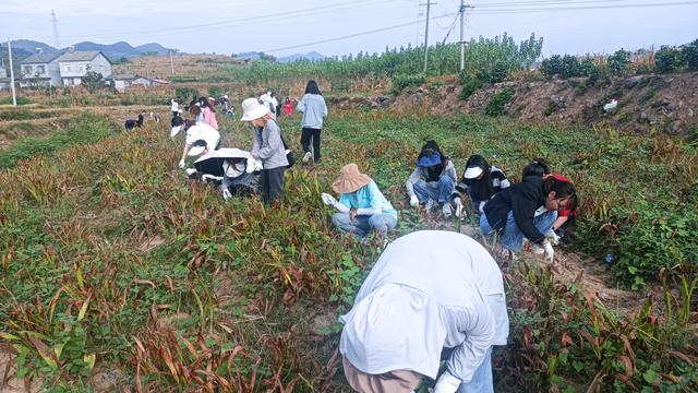 劳动教育课堂笔记心得体会（精选）